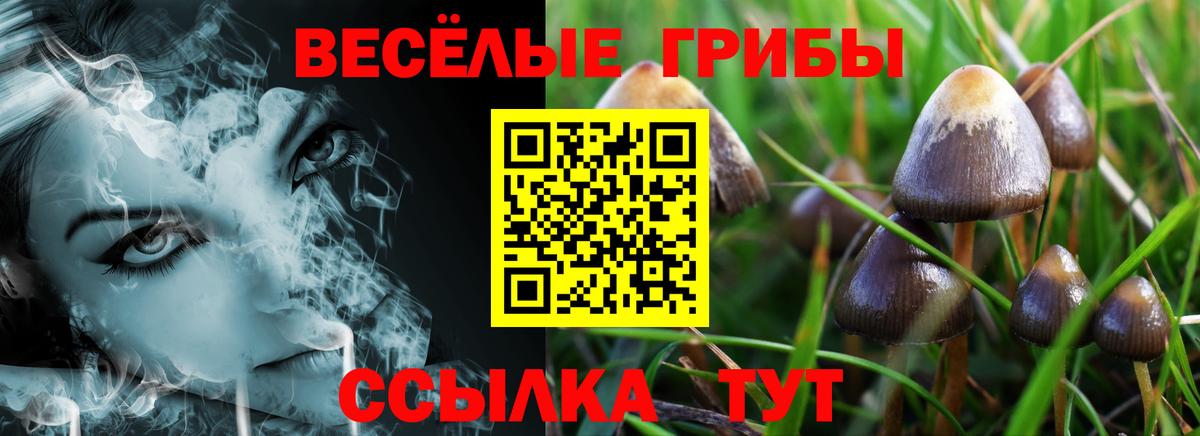 Галлюциногенные грибы прущие грибы Конаково